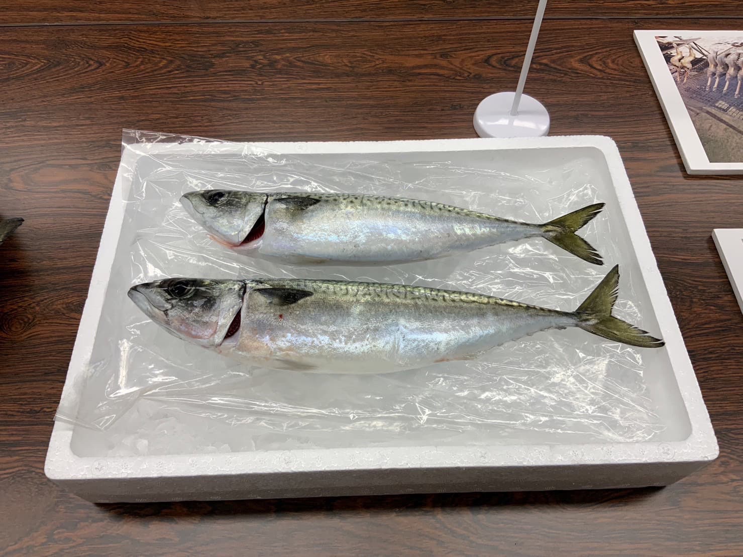s__25903109.jpg